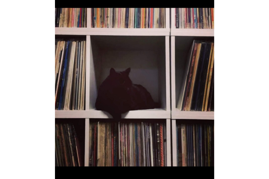 黒猫's pics