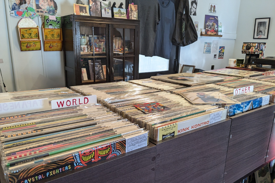 斧琴菊 （よきこときく）'s pics