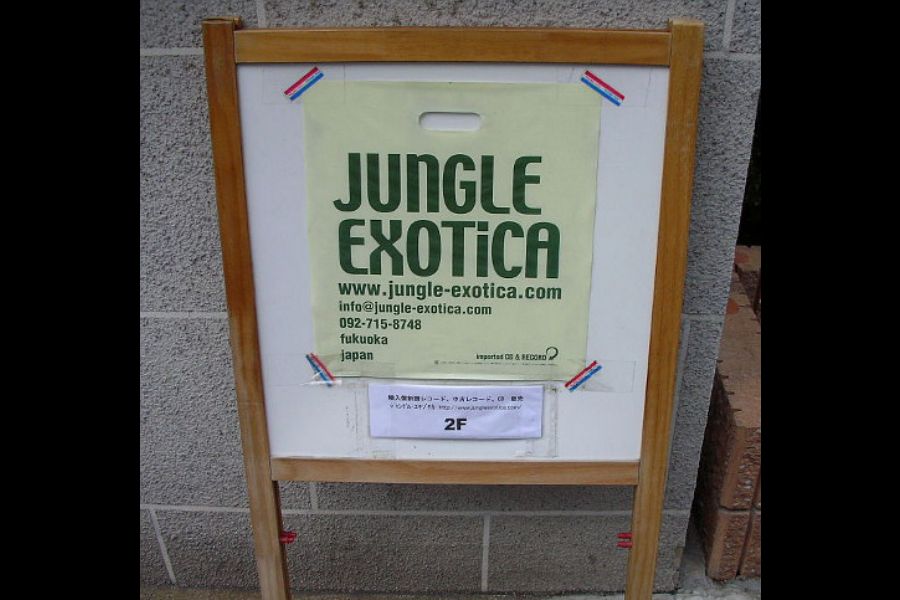 jungle exotica （ジャングル・エキゾチカ）の写真