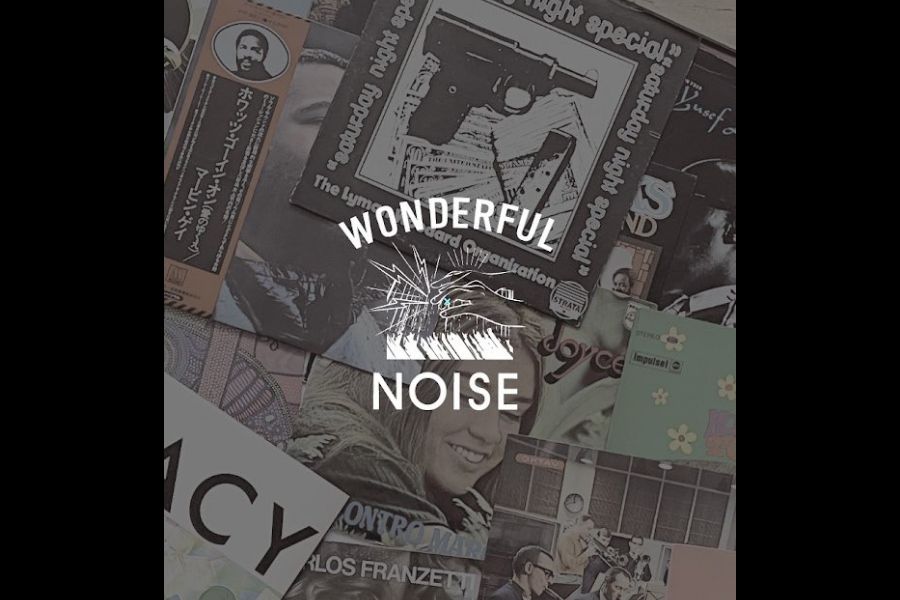 Wonderful Noise Records Storeの写真
