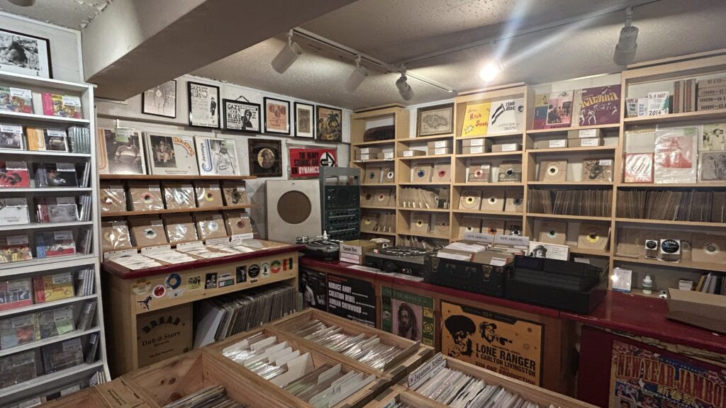 Dub Store Record Mart's pics