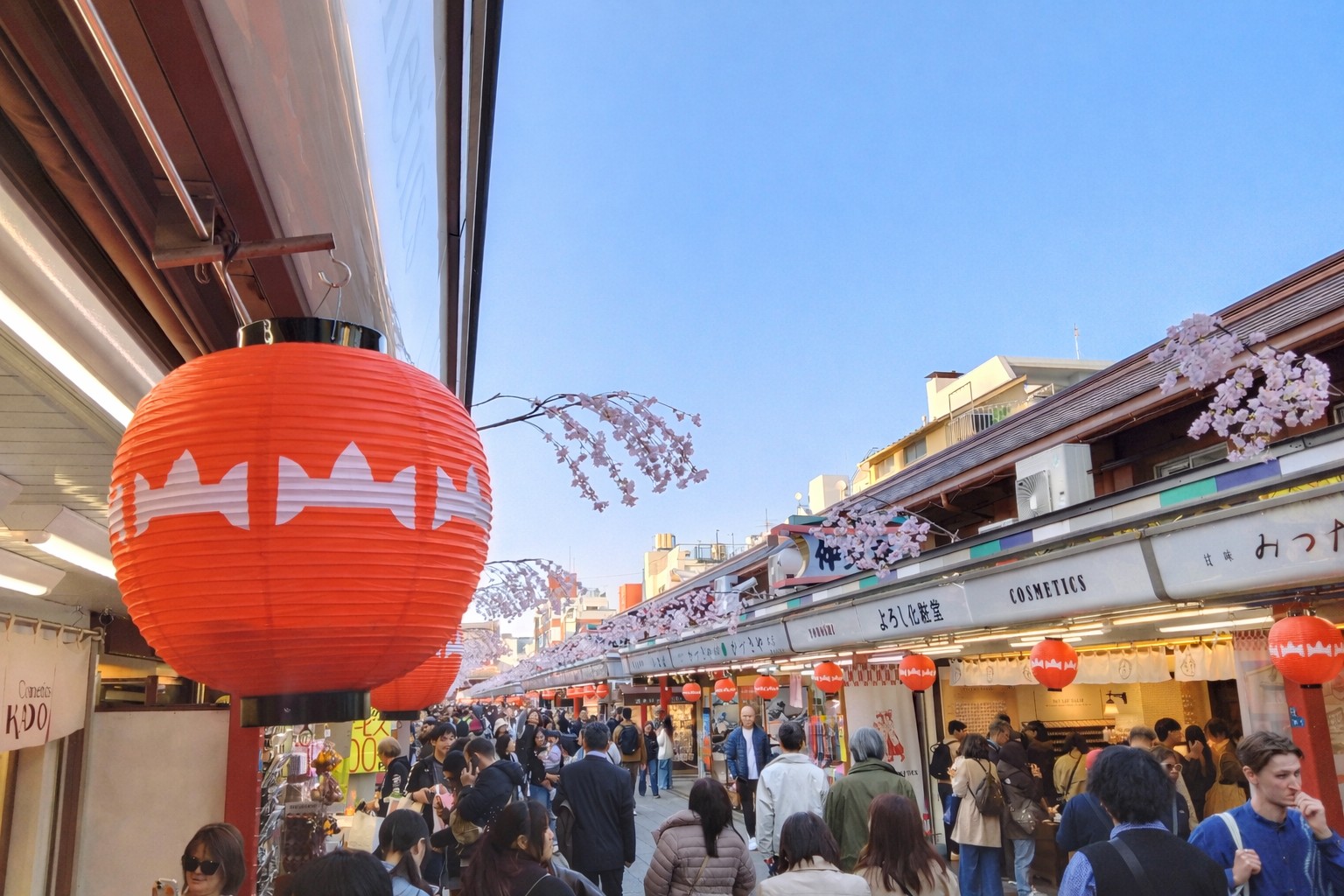 浅草の街並みと店舗周辺