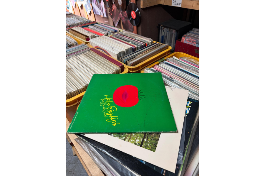 マザー・ムーン・ミュージック's pics