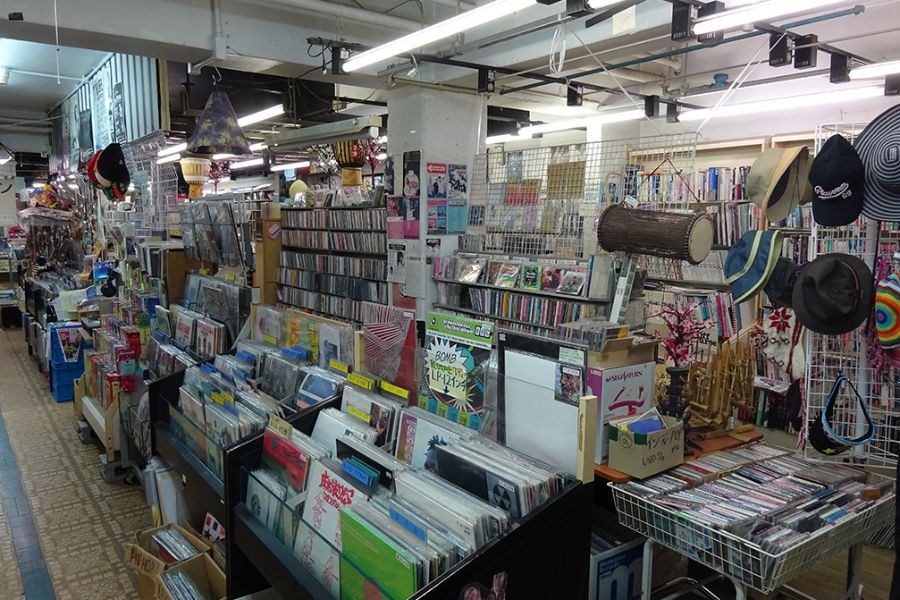 メロディーグリーン's pics