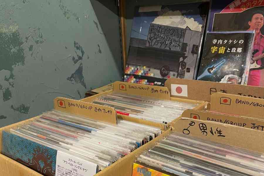 切り株の写真